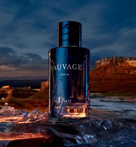 dior sauvage eau de parfum amazon|dior sauvage cheapest price.